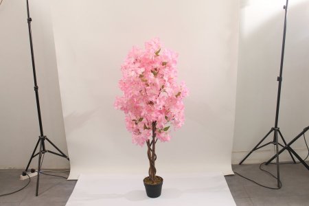 شجرة A3-12