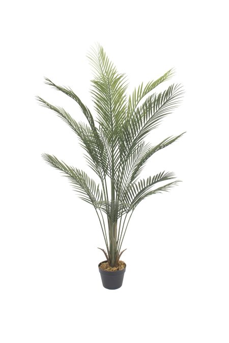 شجرة A3-2