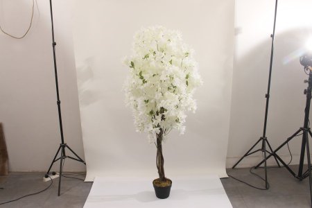 شجرة A3-9